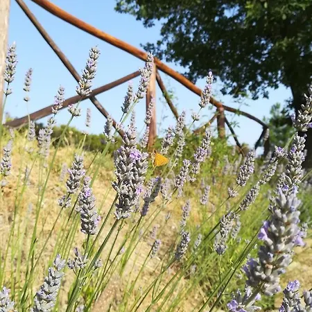 La Casa Gialla Belvedere Vakantiehuis