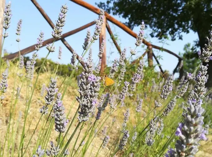 La Casa Gialla Belvedere 펜션