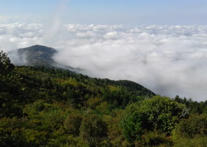 La Casa Gialla Belvedere 펜션